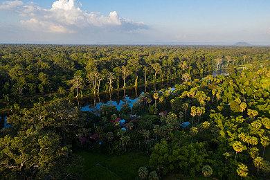 传《忍龙》重启作将由白金工作室负责